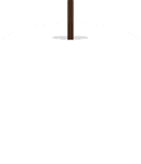 Vela